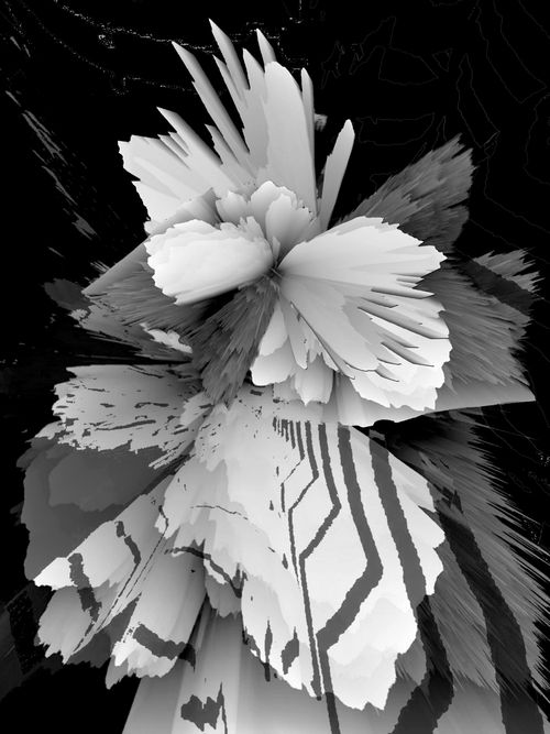 L'Anarchie du Jardin