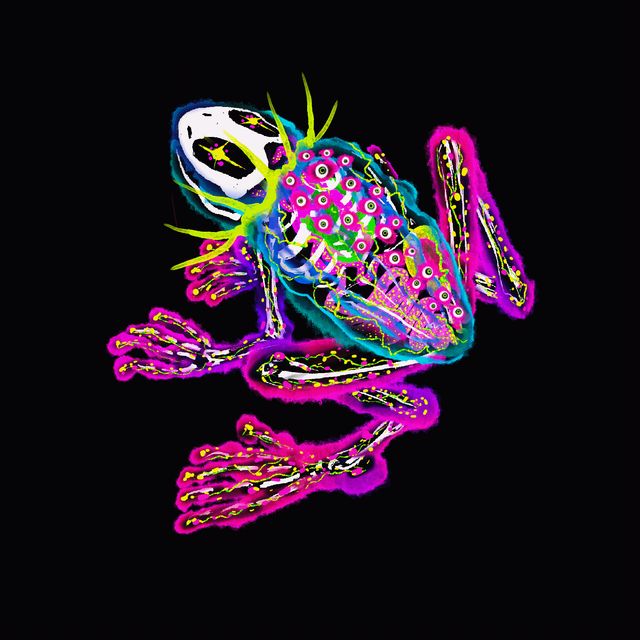 Backeyes Clown Frog