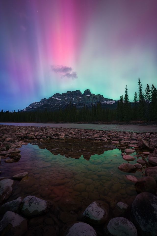 Northern Throne