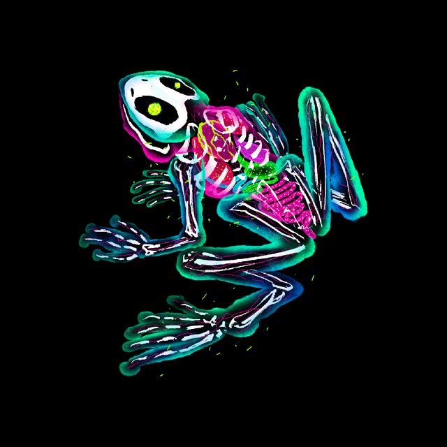 Riverday Frog