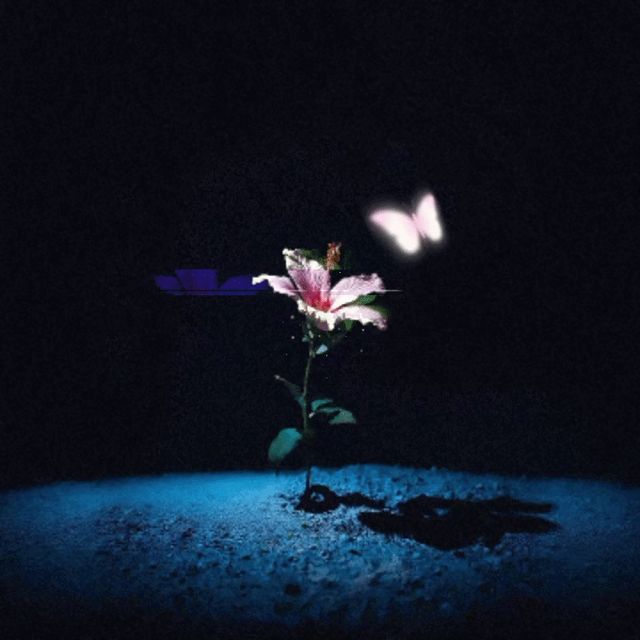 Flower006