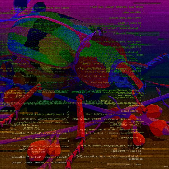 "Ant In The Code"
