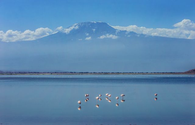 Kilimanjaro 