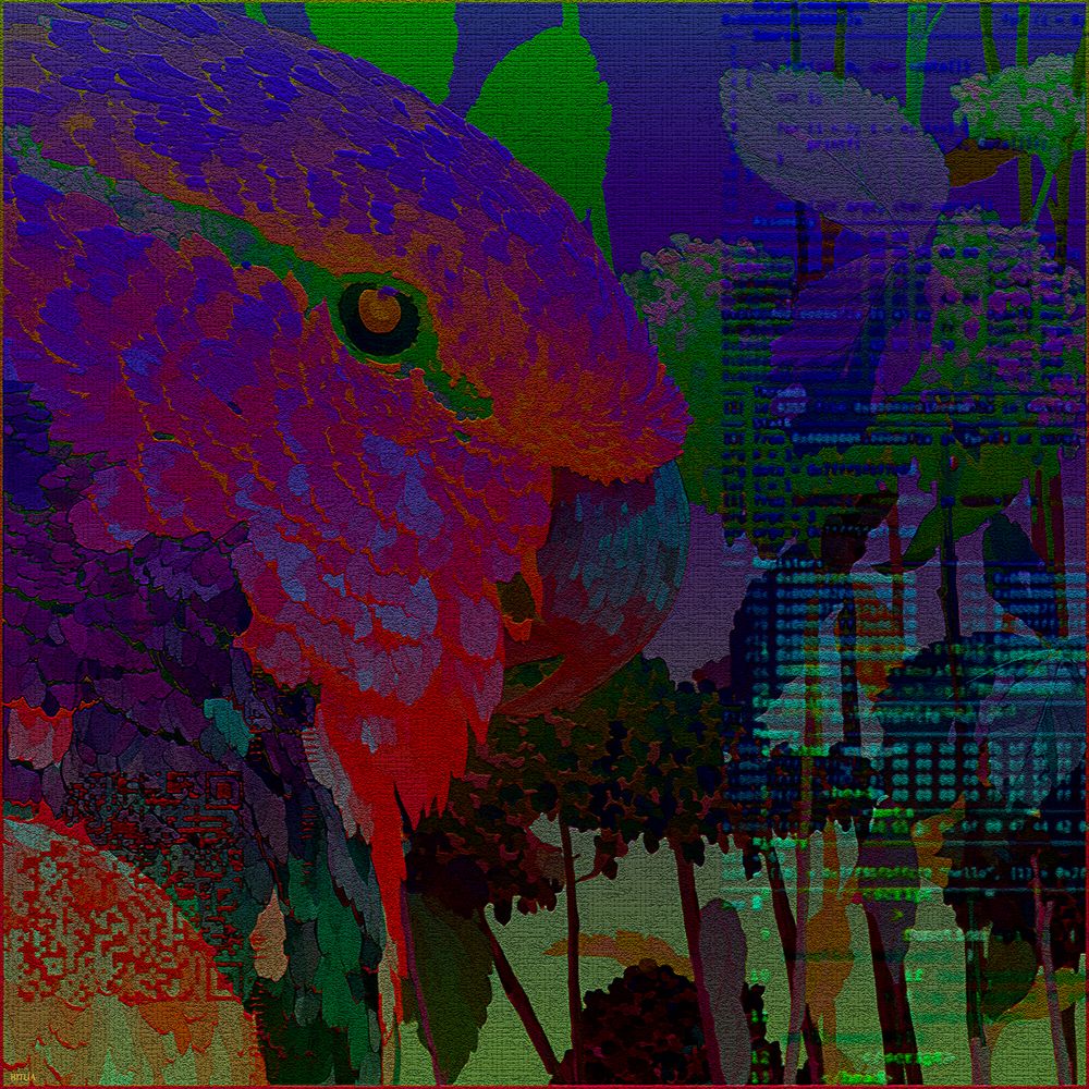 "Bleeding Parrot"