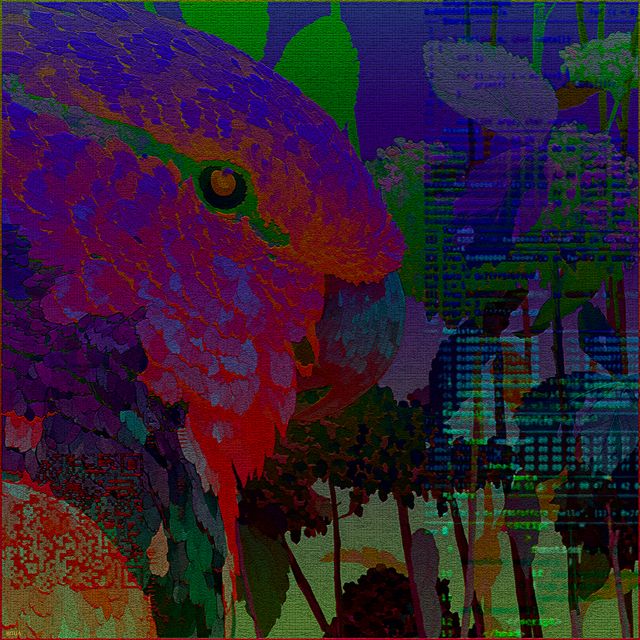 "Bleeding Parrot"