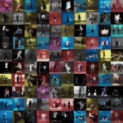 EITP Mosaic #3 (Days 201-300)