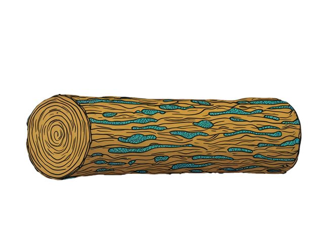 Project Astral : Log