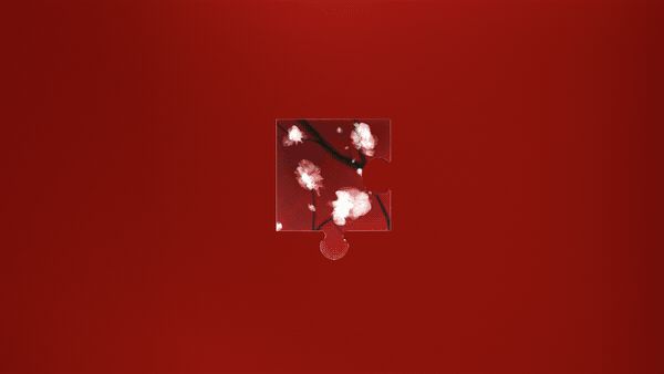 Fragment 19