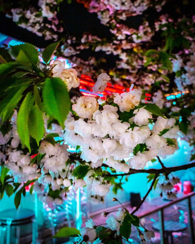 Cyberflower