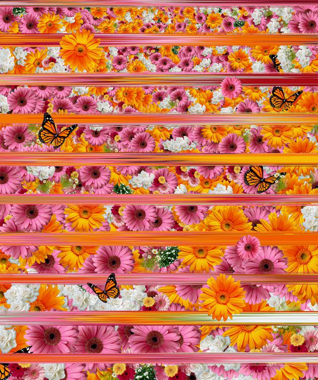 Between Flowers and Wings