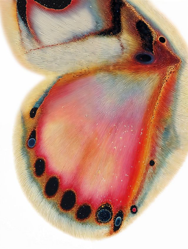 Radiant Emergence