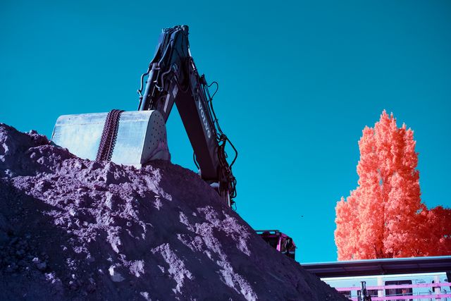 The Last Dig