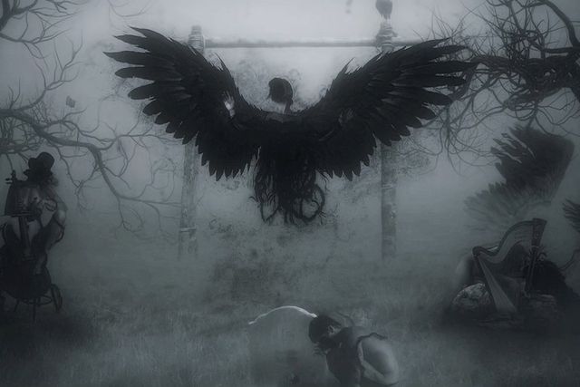 Raven That Refused To Sing