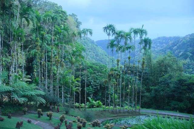 Bèl Jardin de Balata