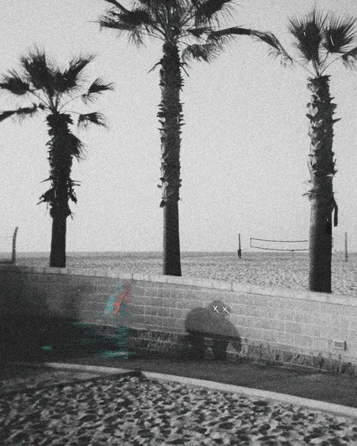 PALM PURGATORY