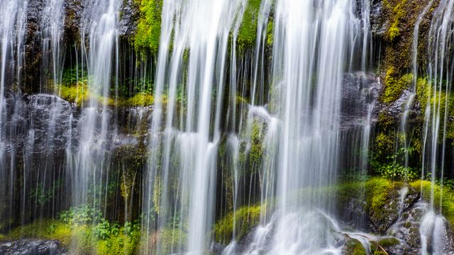 Liquidity I:  Verdant