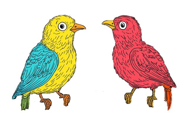Project Astral : Birds