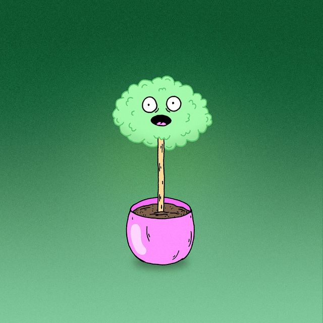 SWING TREE