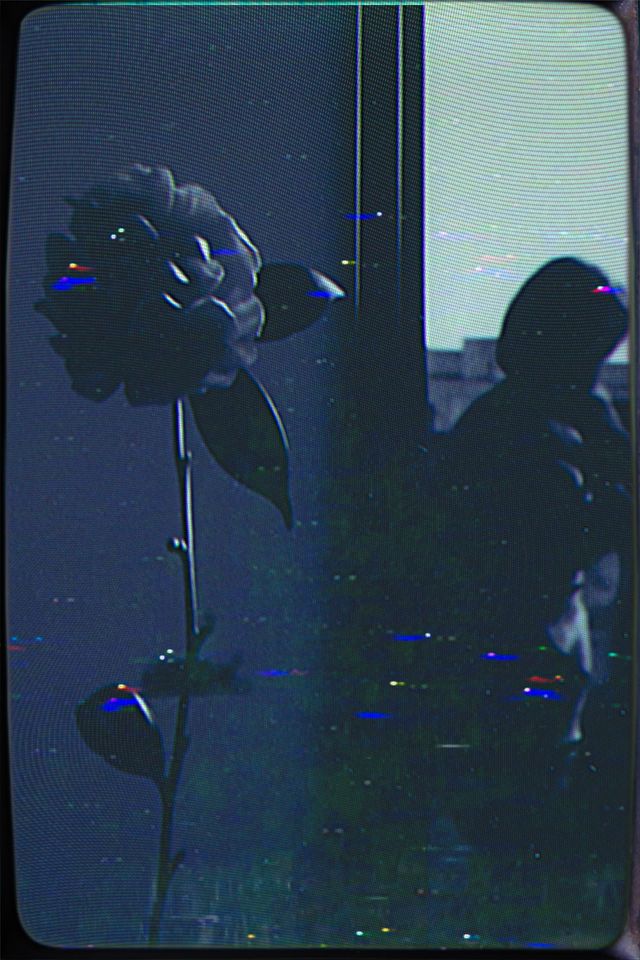 Analog Heart