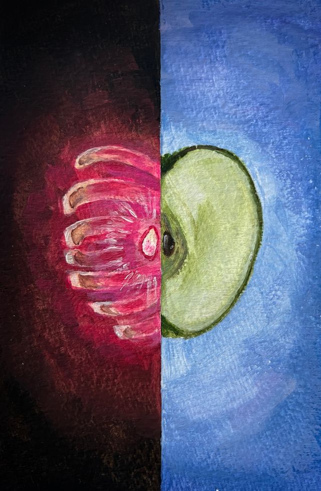 The seed of life