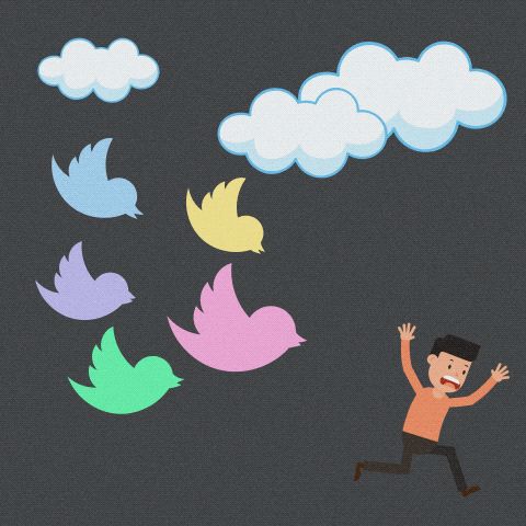 Tweet Tweet