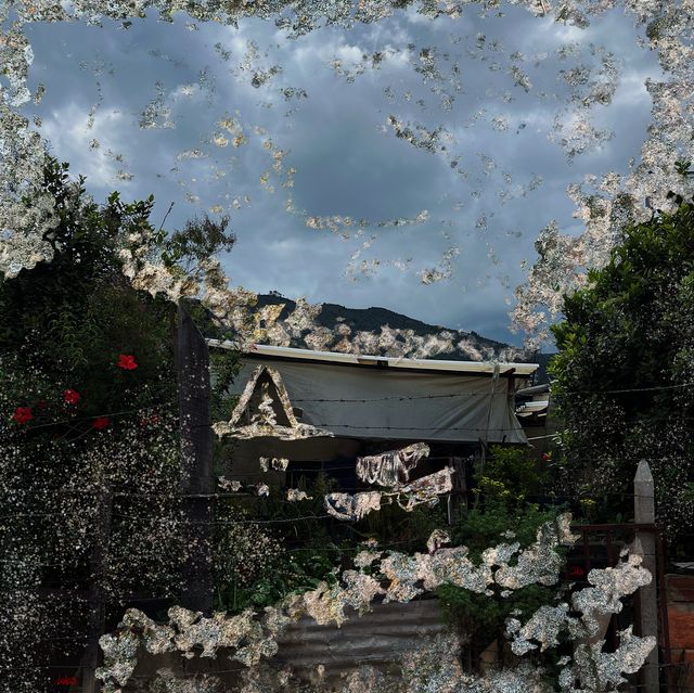 RTAD • 16
