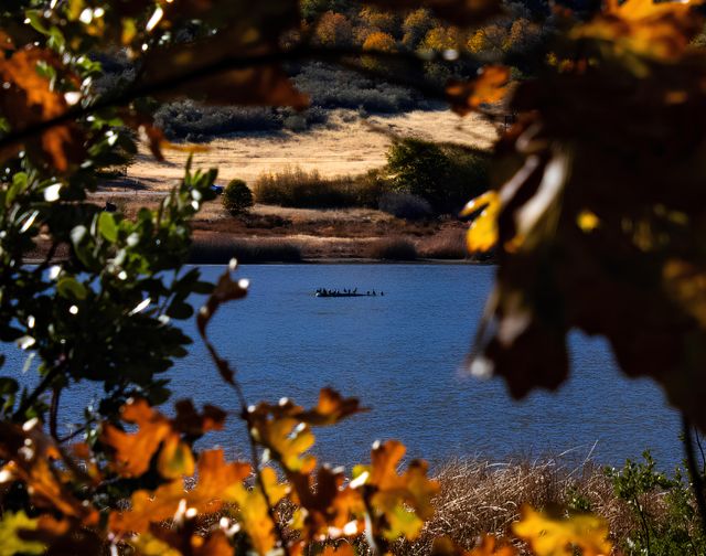 Autumn's Window