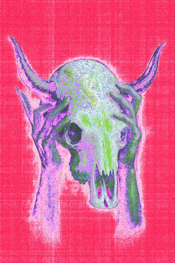 Bull