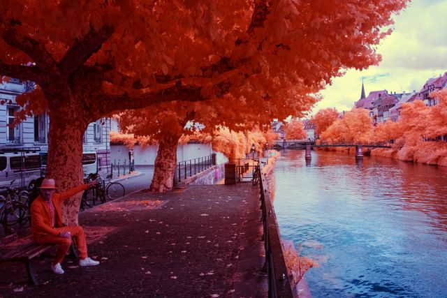 The Orange Guide – Strasbourg