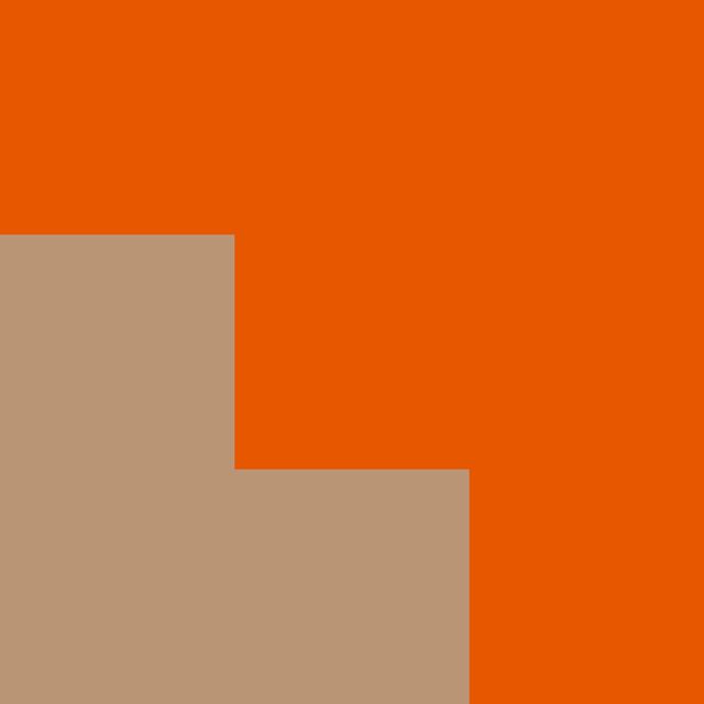 ORANGE SIDE