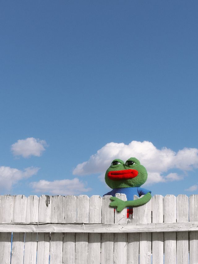 My Neighbor Pepe