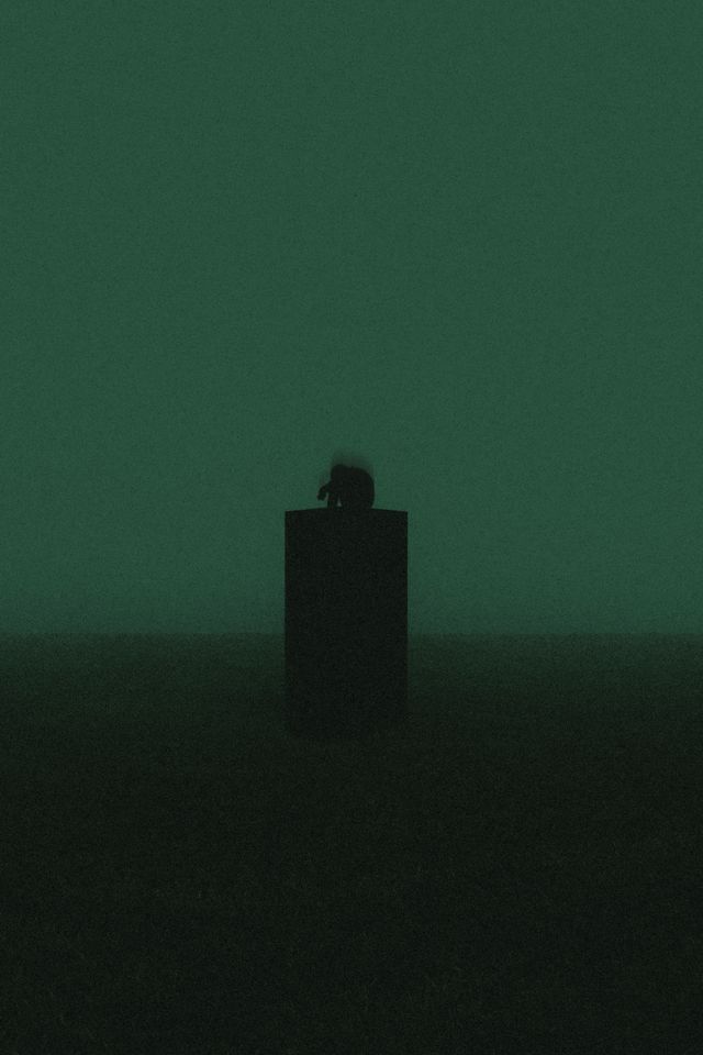 Silent Witness