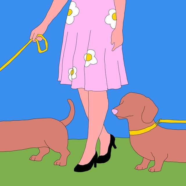 Ferdinand Magellan's dog.