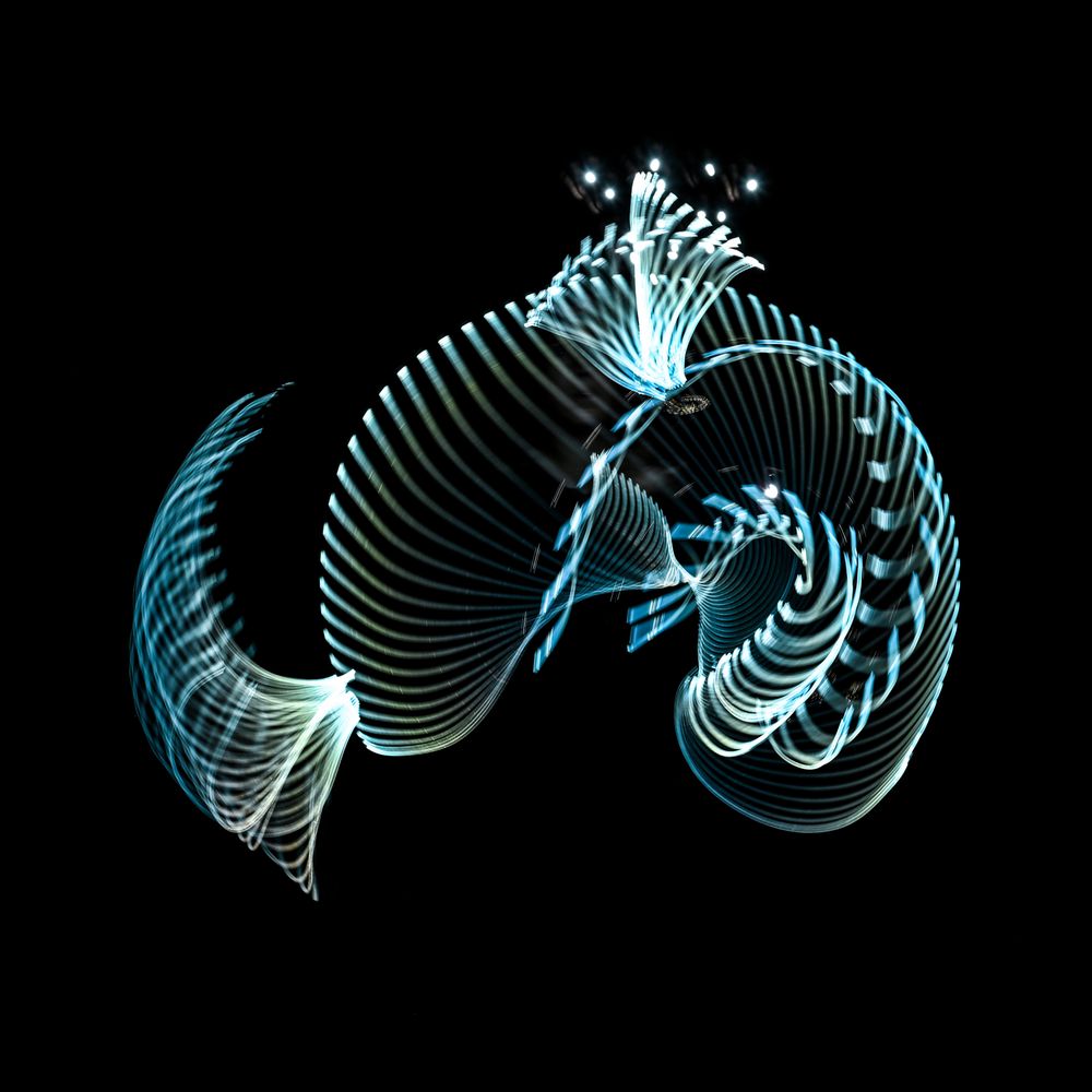 LIONFISH