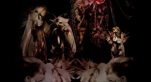 Ancient Feather Clan