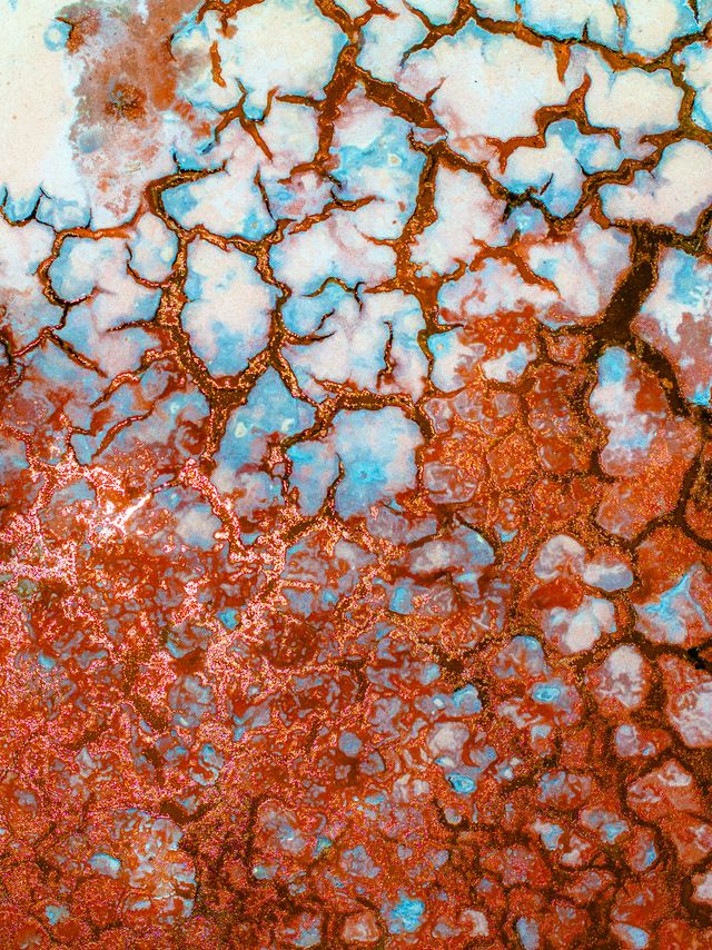 Celestial Brine