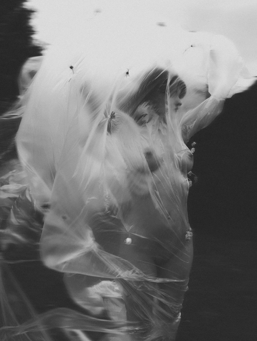 Wind, Almost a Lover 