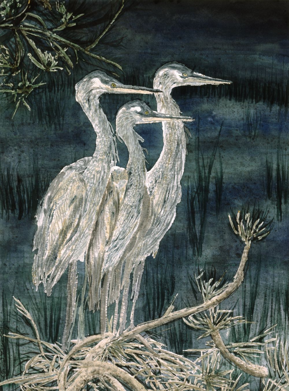Heron Blues