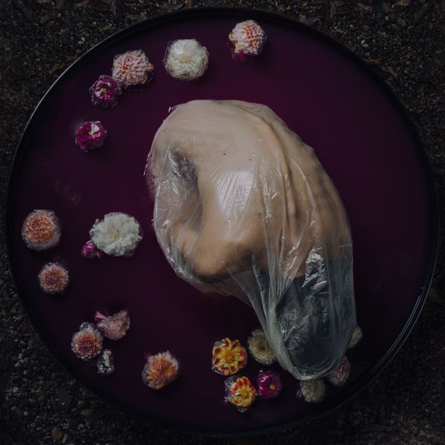 Preserved Beauty III