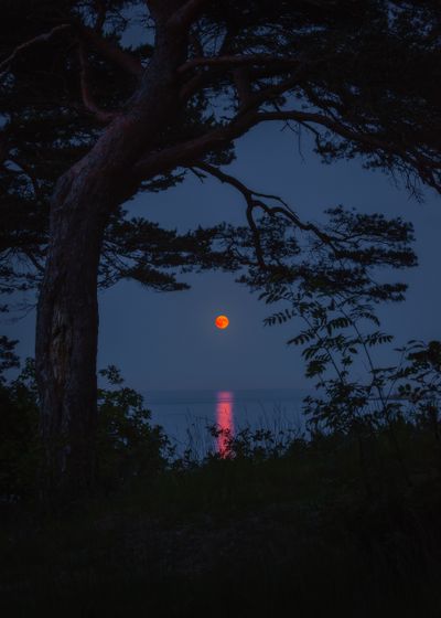 MOONRISE
