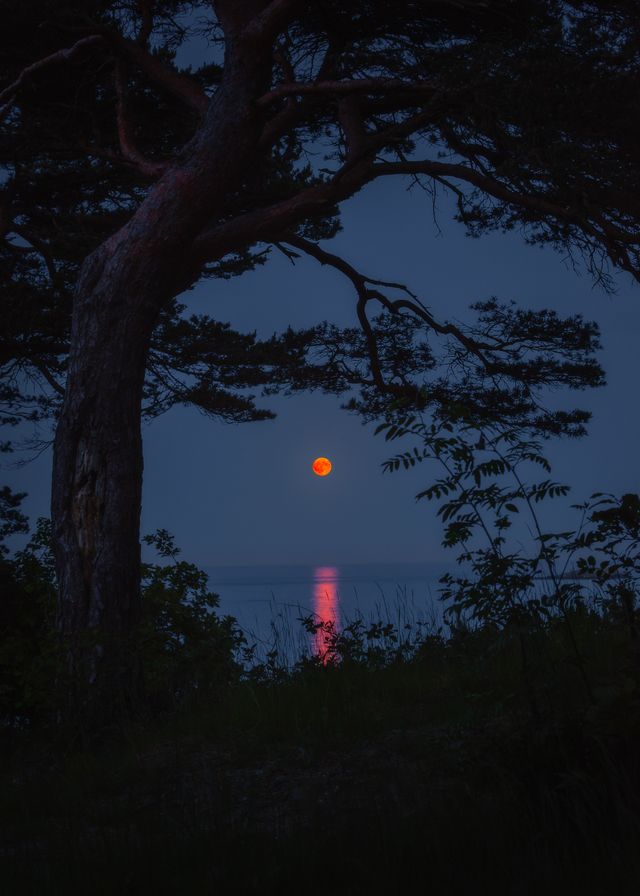 MOONRISE