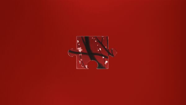 Fragment 12