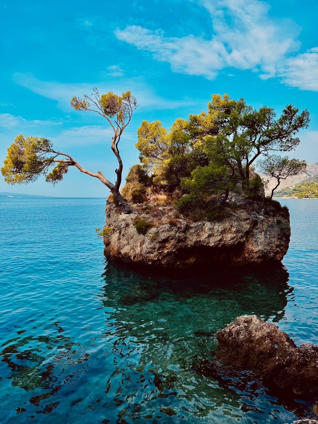 Thriving on The Fringe