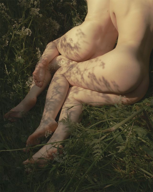 Where Dryads Sleep