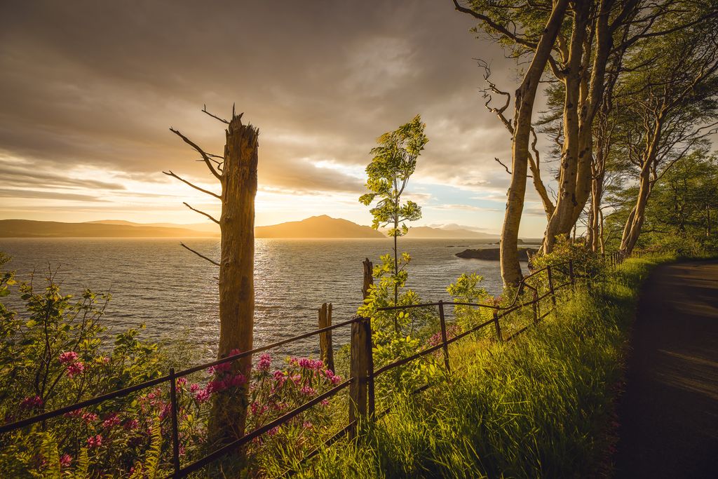 Walk in paradise