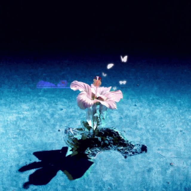 flower002