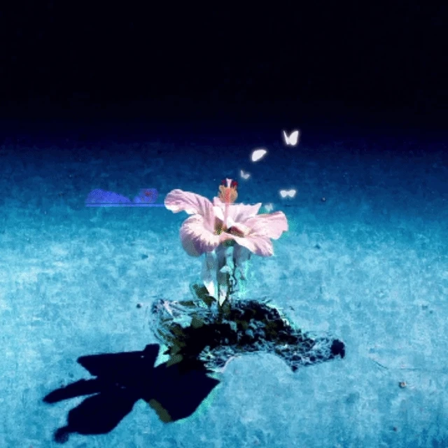 flower002
