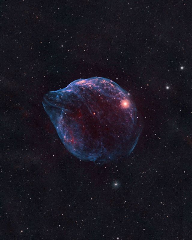 Deep Space Collection # 3. Dolphin Head