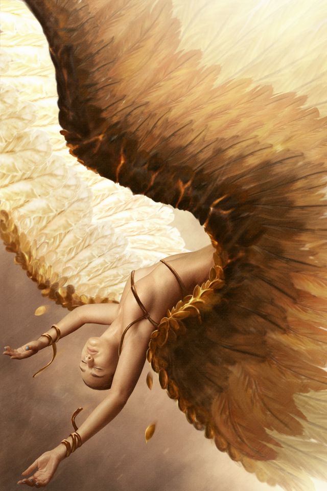 The fall off