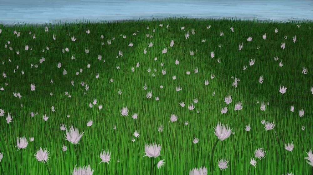 Life Impression 25